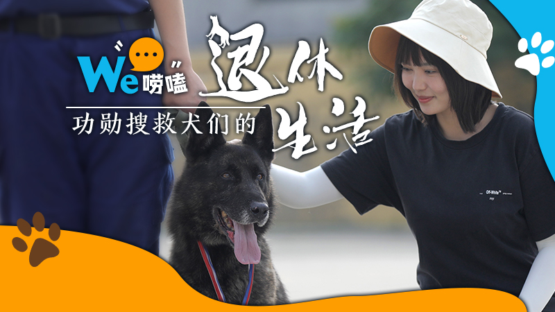 We嘮嗑｜功勛搜救犬們的&ldquo;退休&rdquo;生活