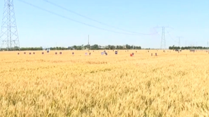 陜西：智能平臺助力夏收 實現(xiàn)農機資源共享