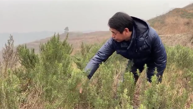 新春走基層｜脫貧后，駐村扶貧隊(duì)長在干啥？