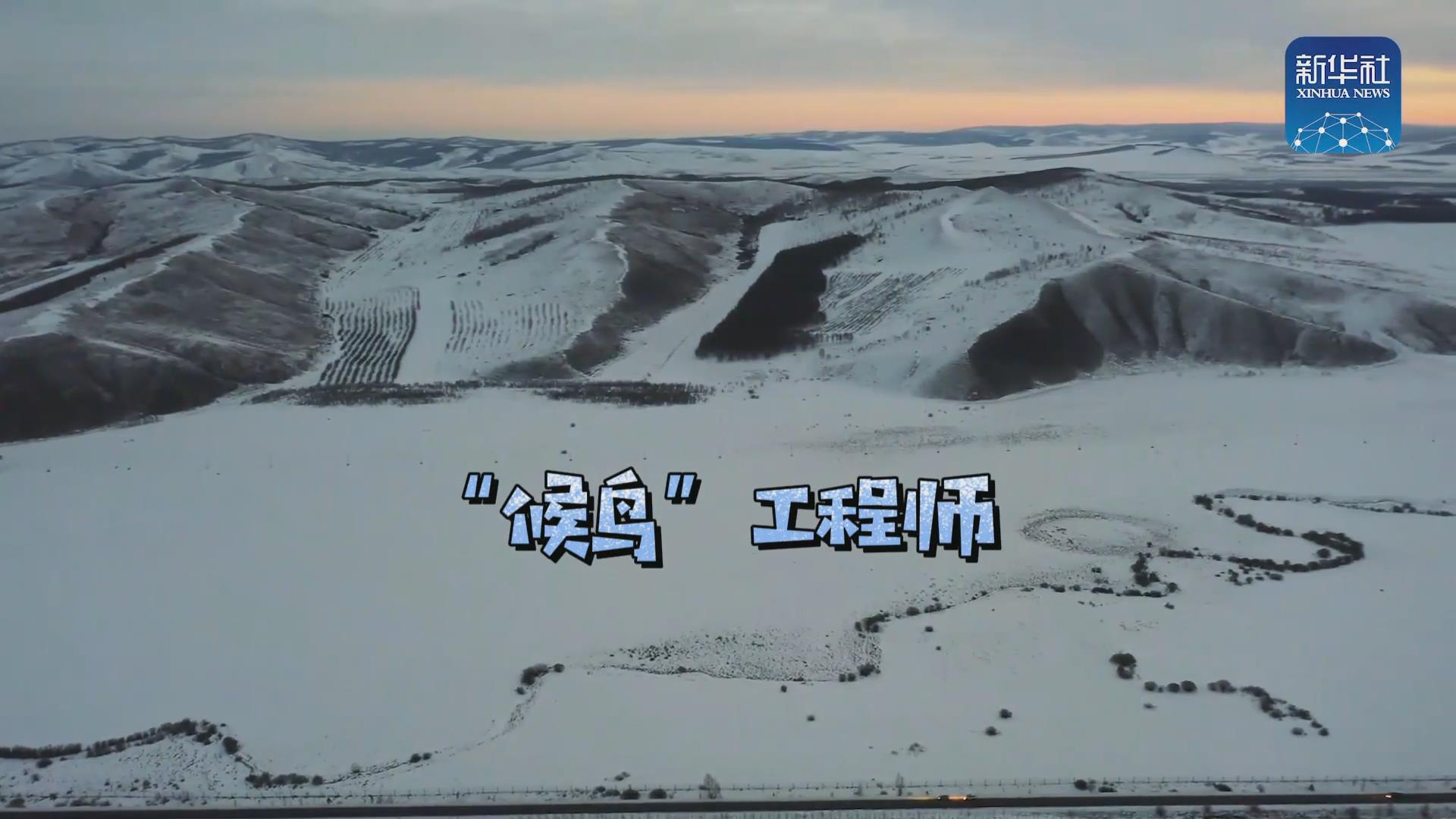 我們?cè)诒寂茇宦废虮?！他是逆行?ldquo;候鳥&rdquo;