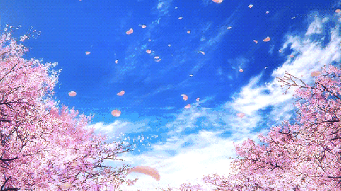 寧波這個(gè)地方早櫻花開(kāi)成海，滿足你對(duì)春天的所有想象