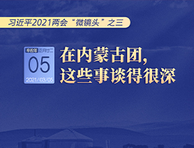習近平2021兩會&ldquo;微鏡頭&rdquo;之三 3月5日 在內(nèi)蒙古團，這些事談得很深