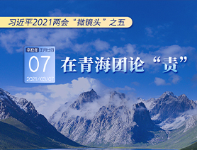 習(xí)近平2021兩會(huì)&ldquo;微鏡頭&rdquo;之五：3月7日 在青海團(tuán)論&ldquo;責(zé)&rdquo;