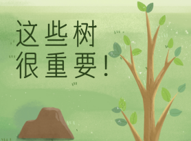 這些樹很重要！