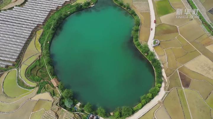 稻田新插，這里的山村美翻了！