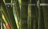 &ldquo;五一&rdquo;去哪？：快樂出行 文明旅游