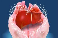 【健康解碼】轉(zhuǎn)氨酶正常肝臟就一定正常嗎？