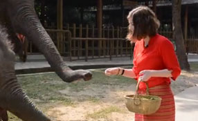 勐巴拉娜西！&ldquo;洋記者&rdquo;帶你游西雙版納