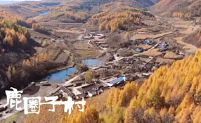 探秘關(guān)東人家，畫一個(gè)童話里的秋天