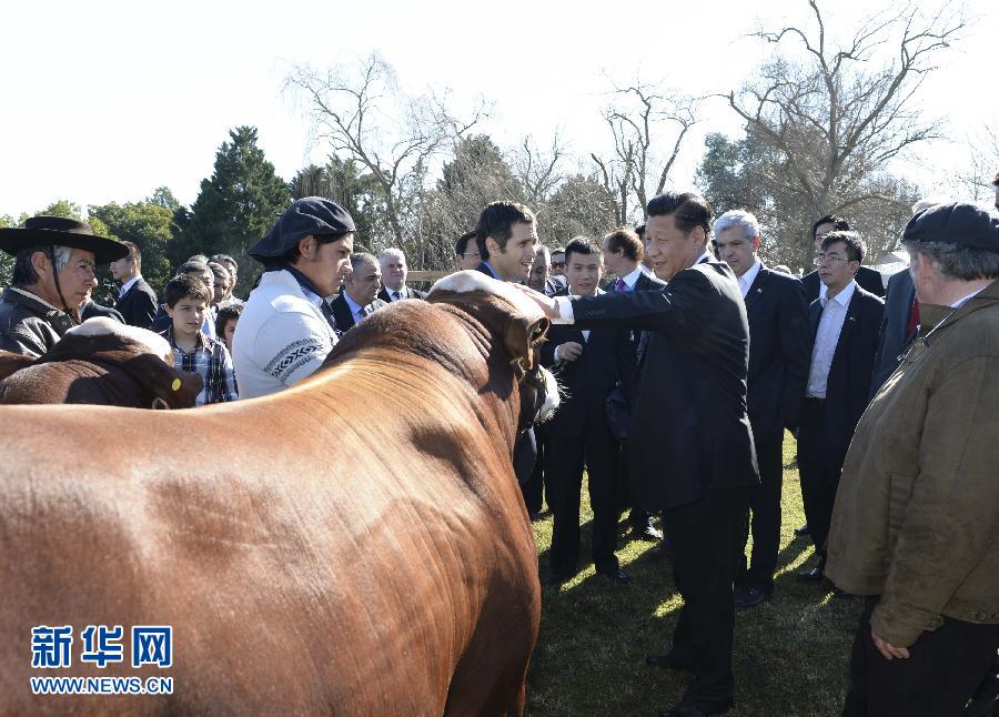 當?shù)貢r間7月19日，正在對阿根廷進行國事訪問的國家主席習(xí)近平參觀共和國莊園，考察阿根廷農(nóng)牧業(yè)，了解阿根廷農(nóng)牧民文化特色。新華社記者馬占成攝 