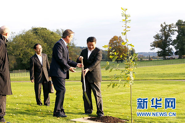兩國領(lǐng)導(dǎo)人一同在別墅草坪，共同種下象征中英友誼的橡樹。新華社記者 鞠鵬 攝
