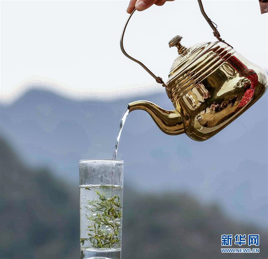 （亞洲文明對(duì)話大會(huì)）（10）茗香亞洲 茶韻綿長