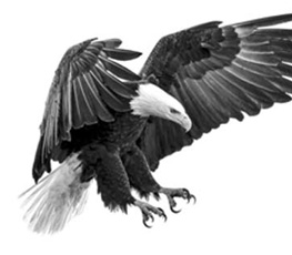 誰是世界秩序的真正破壞者？