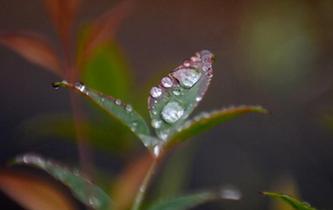 江蘇揚州：&ldquo;白露&rdquo;知秋