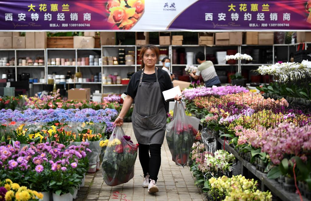 秦嶺腳下興起&ldquo;花經(jīng)濟&rdquo;