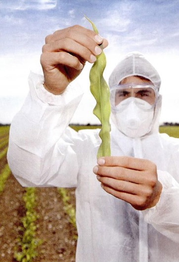 轉(zhuǎn)基因&ldquo;轉(zhuǎn)&rdquo;的是什么？