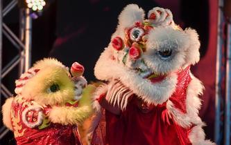 新西蘭國博舉辦&ldquo;中國舞臺日&rdquo;